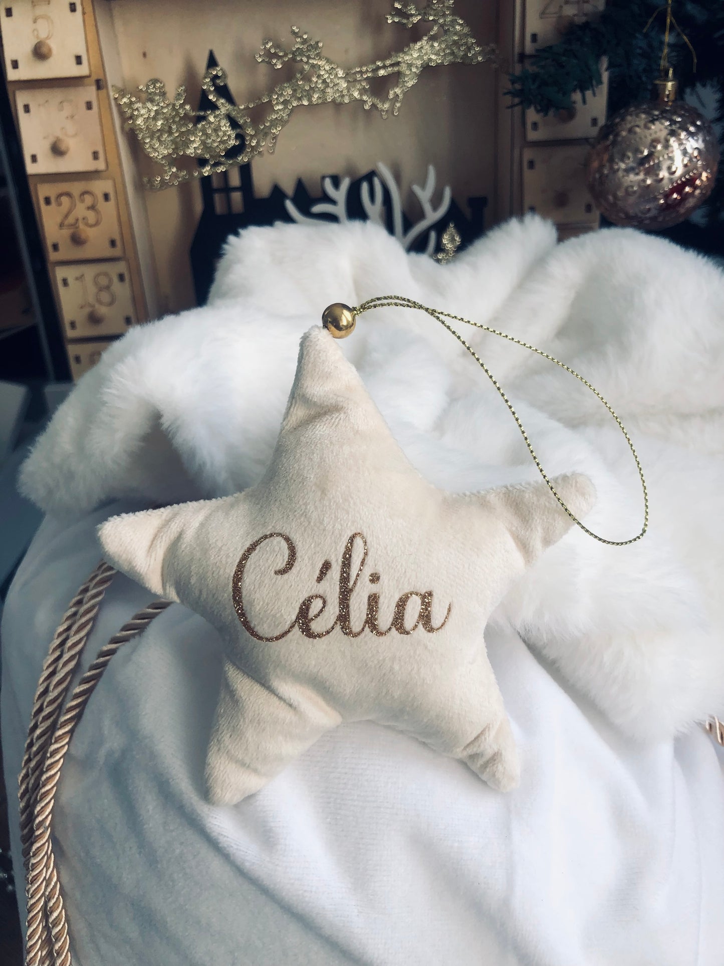 Etoile de Noël