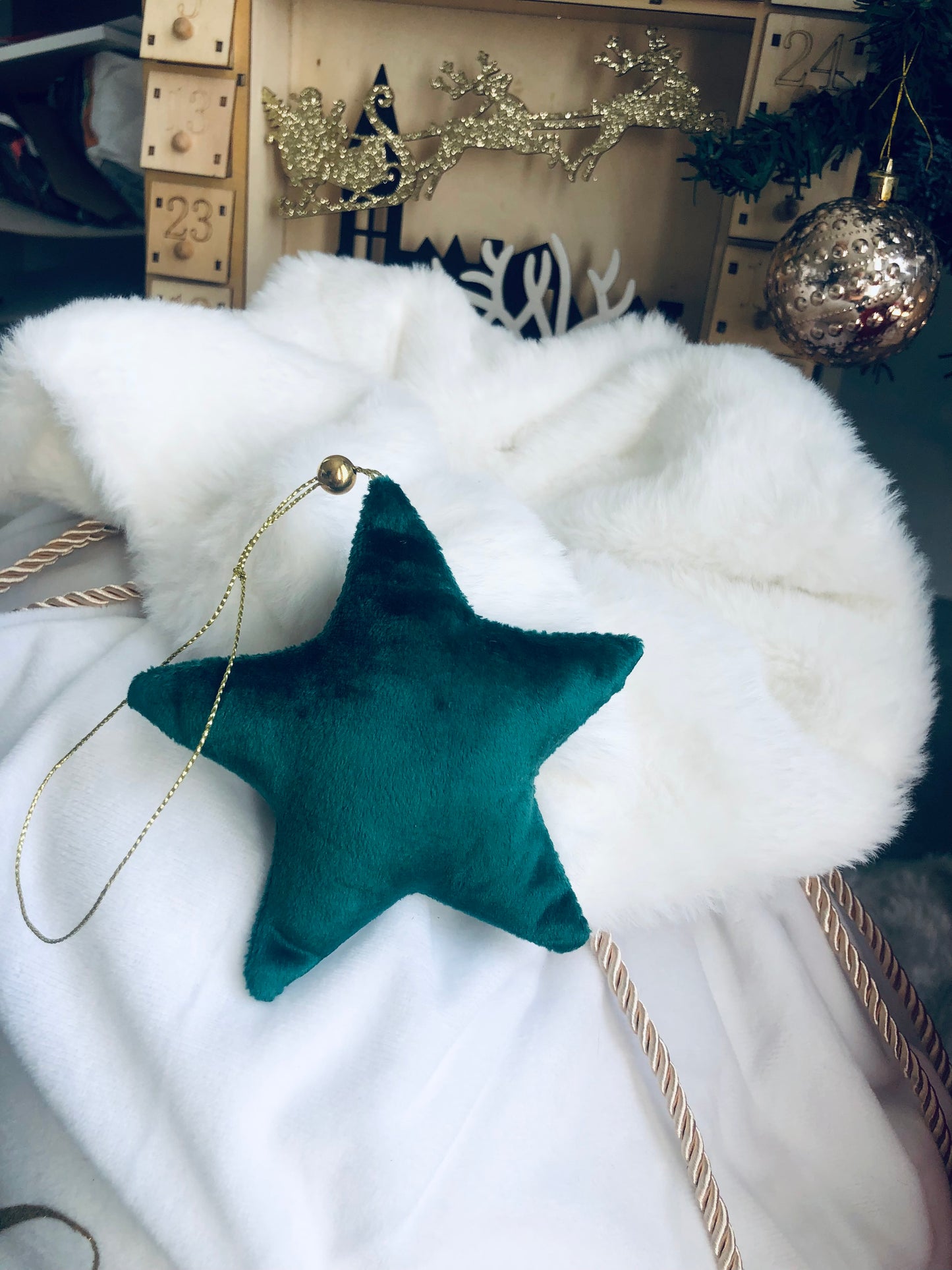 Etoile de Noël