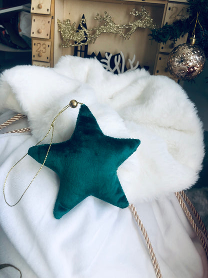 Etoile de Noël